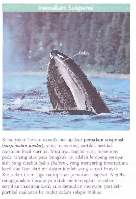 Ilustrasi Bab 41 - Nutrisi Hewan 