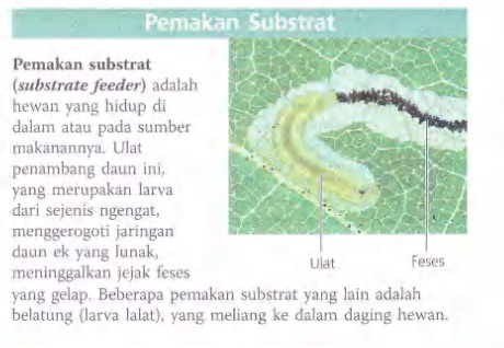 Ilustrasi Bab 41 - Nutrisi Hewan 