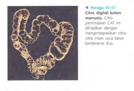 Ilustrasi Bab 41 - Nutrisi Hewan 