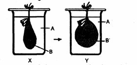 10_20260222_114630.jpg