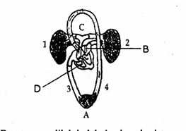 14_20260222_114713.jpg
