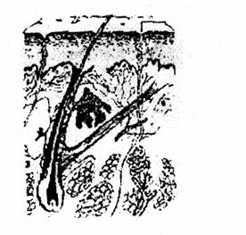 17_20260222_114723.jpg