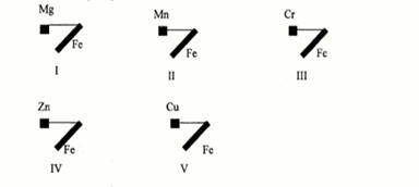32_20260228_083926.png