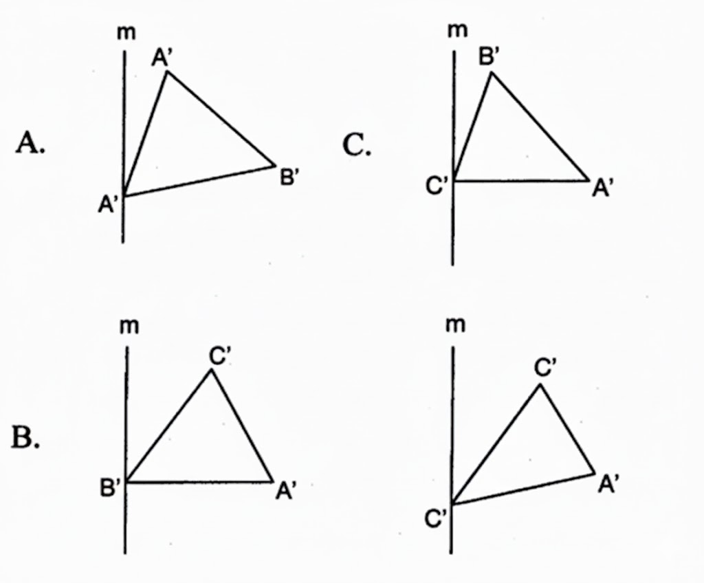 3_20260130_114647.jpg