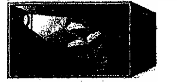 Screenshot_22-2-2026_102955__20260222_104007.jpeg