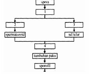 Screenshot_22-2-2026_8370__20260222_084749.jpeg