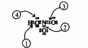 Screenshot_25-2-2026_134852__20260225_134954.jpeg