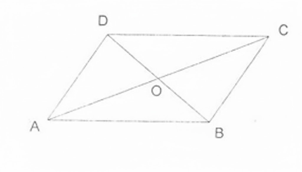 unnamed-1_20260128_085730.jpg